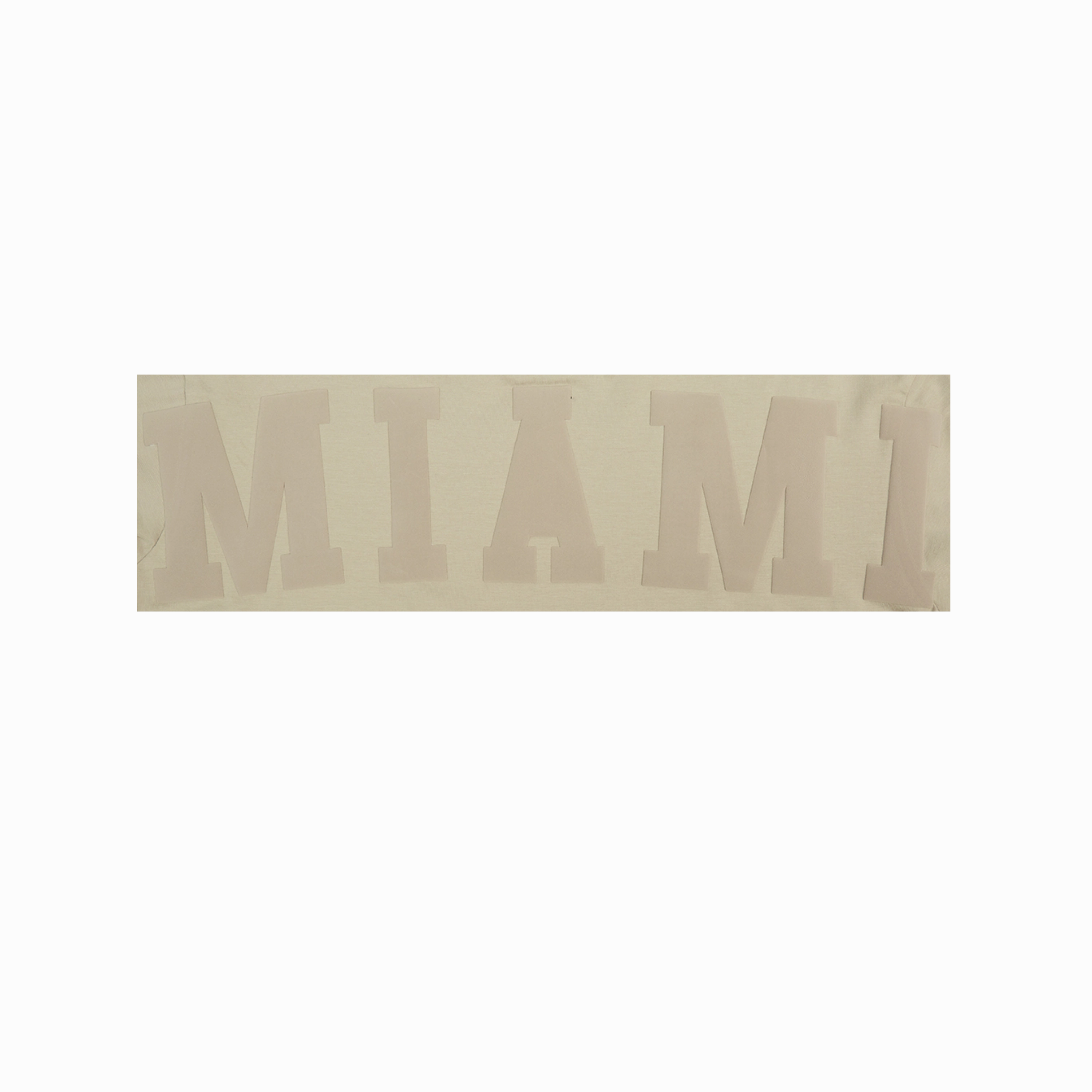 Pro Standard Miami HEAT Boxy Wingspan Women's Crop Tee