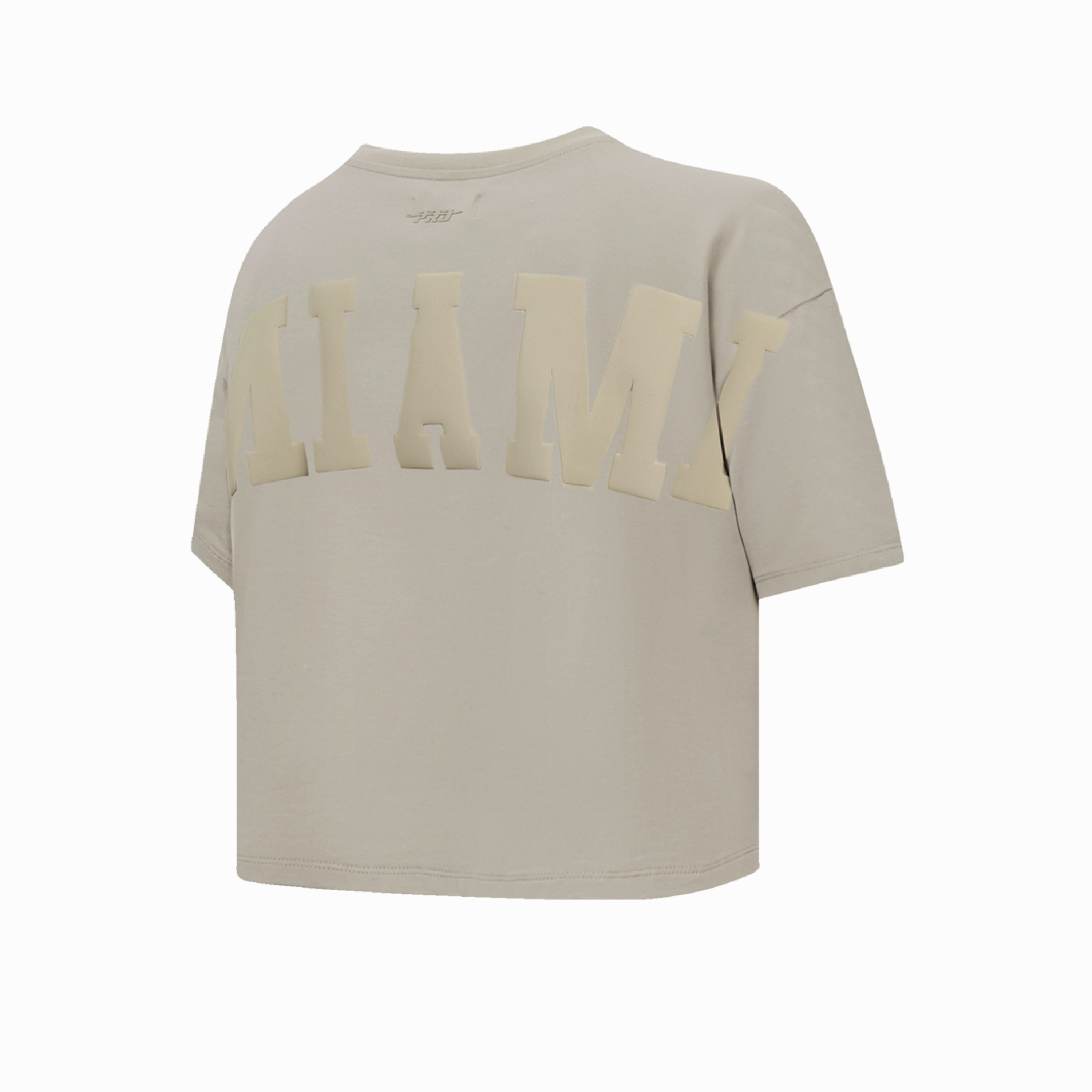 Pro Standard Miami HEAT Boxy Wingspan Women's Crop Tee